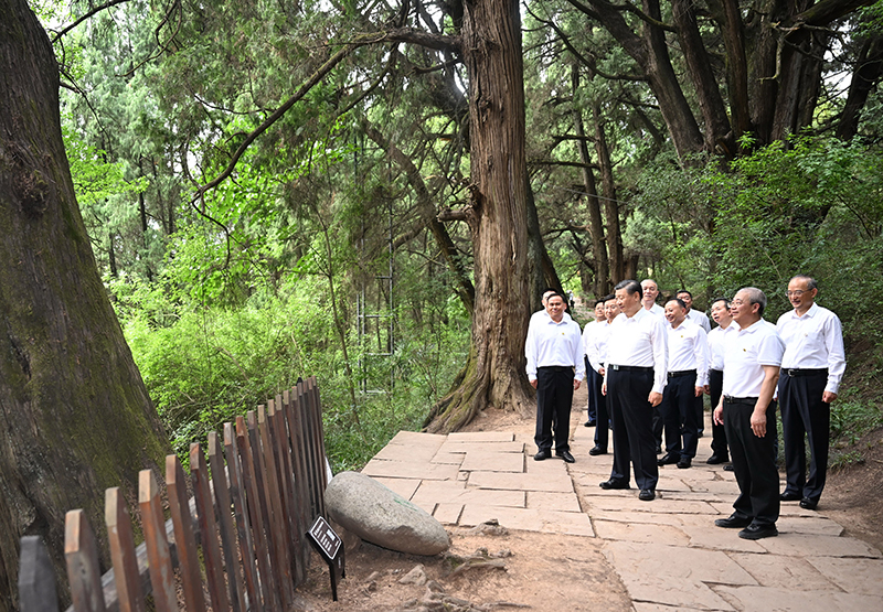 7月25日至27日，中共中央總書記、國家主席、中央軍委主席習(xí)近平在四川考察。這是25日下午，習(xí)近平在廣元市劍閣縣翠云廊考察。